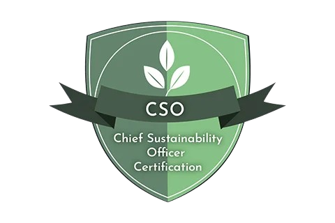 CSO-Chief-Sustainability-Officer-removebg-preview CSO-Chief-Sustainability-Officer-removebg-preview